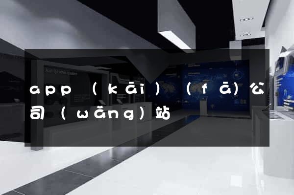app開(kāi)發(fā)公司網(wǎng)站