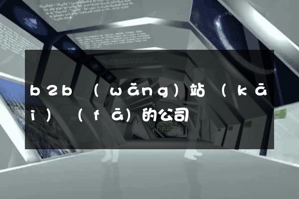 b2b網(wǎng)站開(kāi)發(fā)的公司