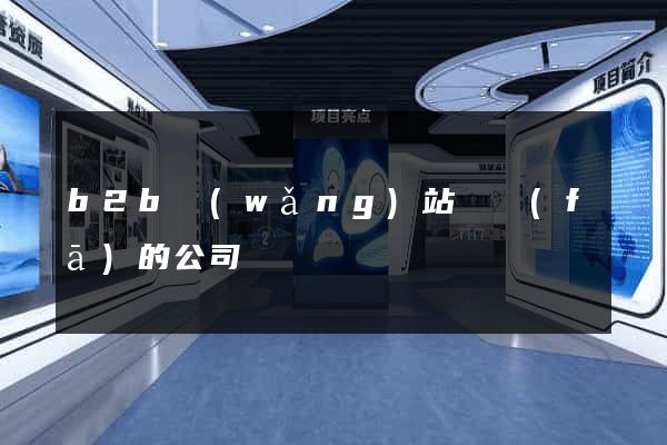 b2b網(wǎng)站開發(fā)的公司