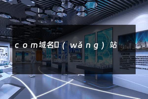 com域名網(wǎng)站