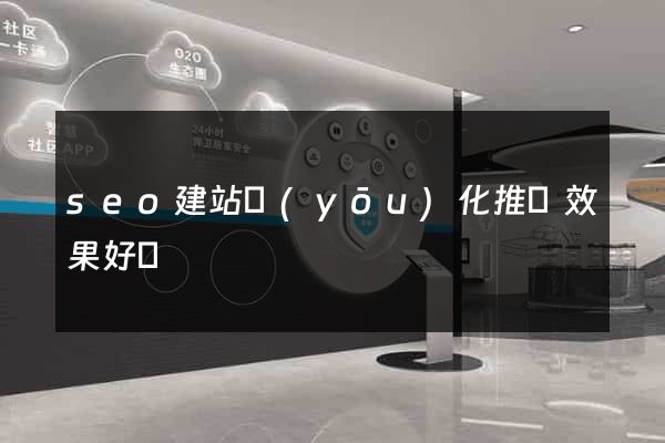 seo建站優(yōu)化推廣效果好嗎
