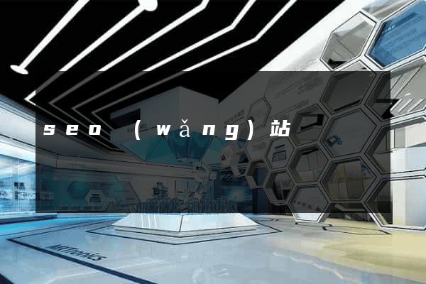 seo網(wǎng)站