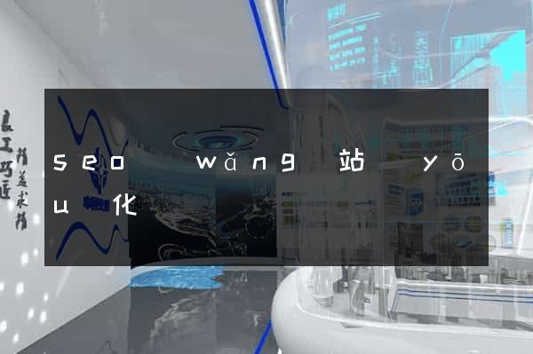 seo網(wǎng)站優(yōu)化