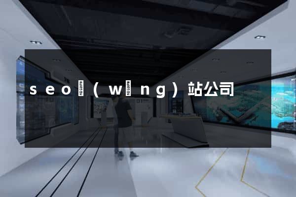 seo網(wǎng)站公司
