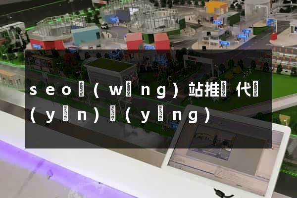 seo網(wǎng)站推廣代運(yùn)營(yíng)