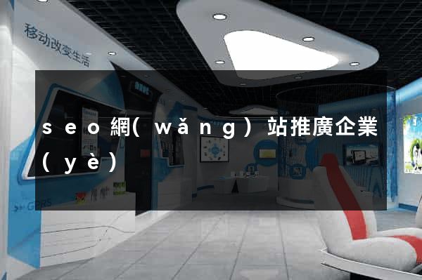 seo網(wǎng)站推廣企業(yè)