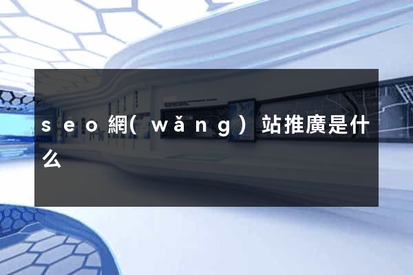 seo網(wǎng)站推廣是什么