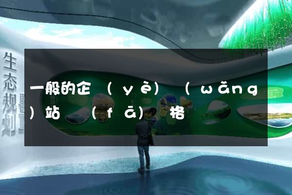一般的企業(yè)網(wǎng)站開發(fā)價格