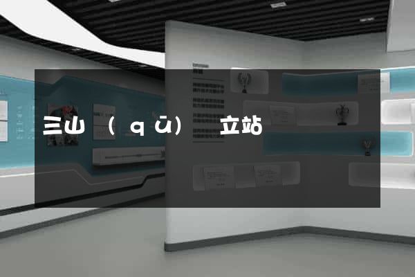 三山區(qū)獨立站運營