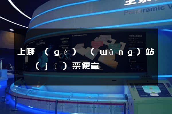 上哪個(gè)網(wǎng)站買機(jī)票便宜