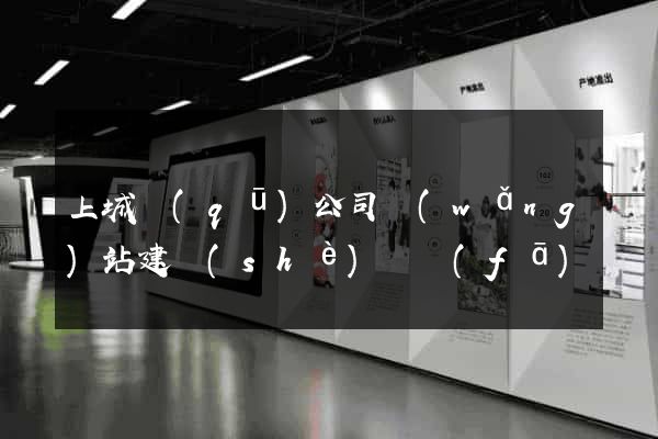 上城區(qū)公司網(wǎng)站建設(shè)開發(fā)