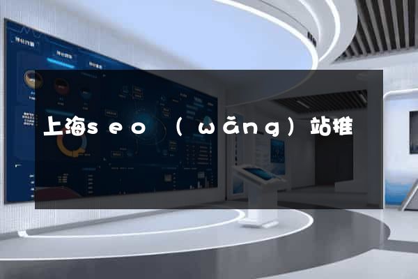 上海seo網(wǎng)站推廣