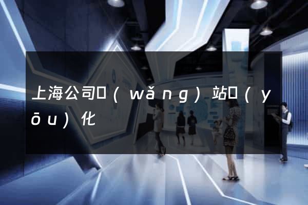 上海公司網(wǎng)站優(yōu)化