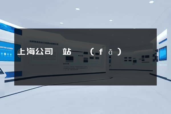 上海公司網站開發(fā)