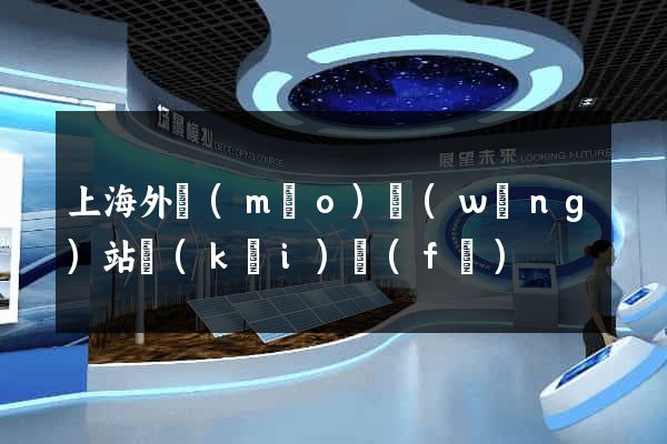 上海外貿(mào)網(wǎng)站開(kāi)發(fā)