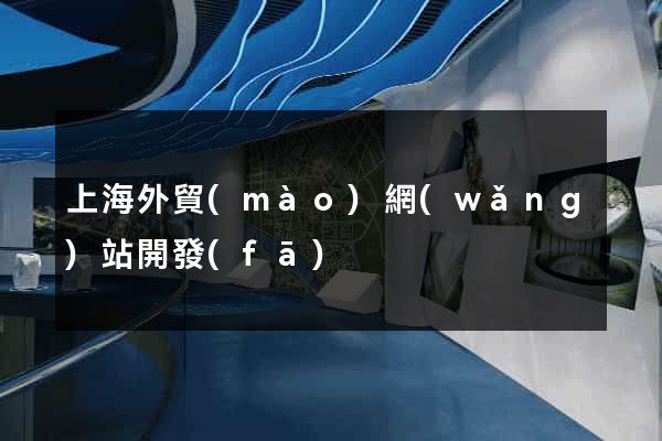 上海外貿(mào)網(wǎng)站開發(fā)