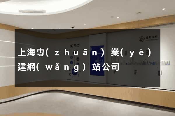上海專(zhuān)業(yè)建網(wǎng)站公司