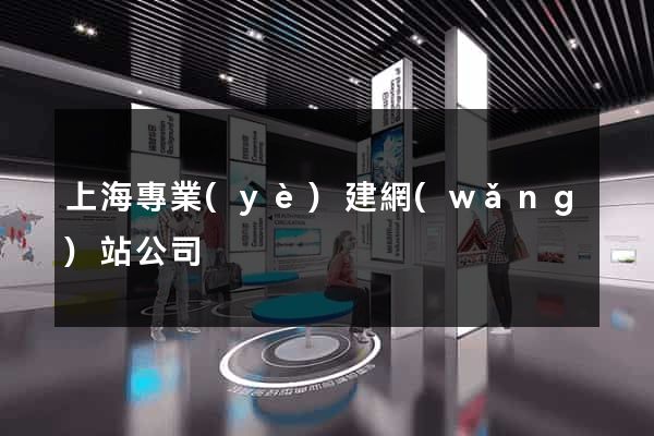 上海專業(yè)建網(wǎng)站公司