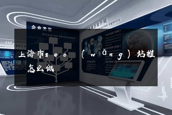 上海市seo網(wǎng)站推廣怎么做