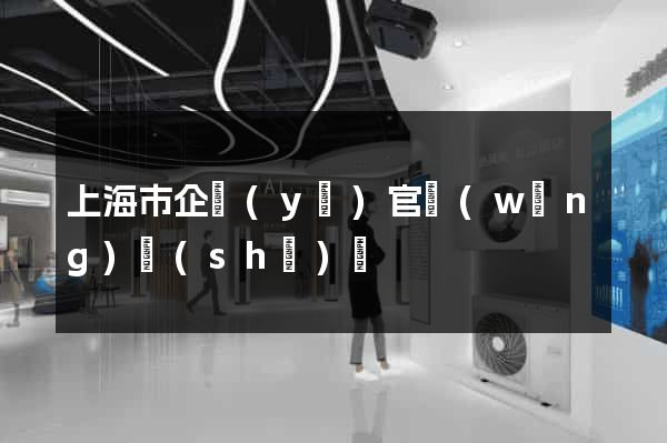 上海市企業(yè)官網(wǎng)設(shè)計