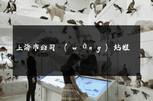 上海市公司網(wǎng)站推廣