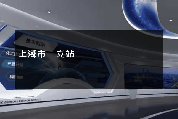 上海市獨立站運營