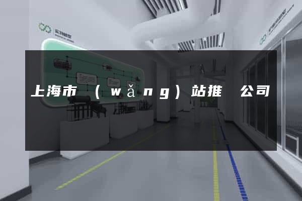 上海市網(wǎng)站推廣公司