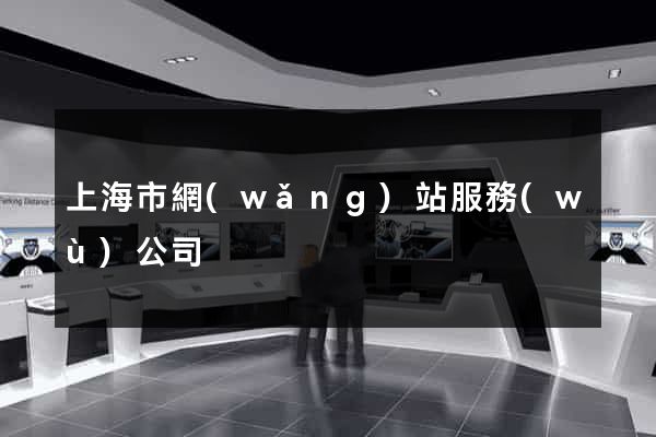 上海市網(wǎng)站服務(wù)公司
