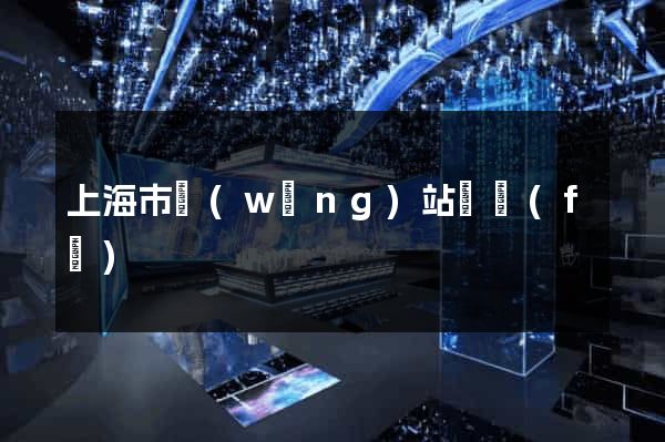 上海市網(wǎng)站開發(fā)