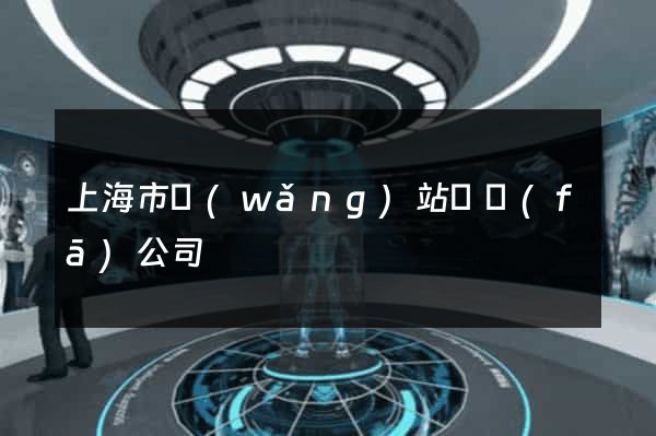 上海市網(wǎng)站開發(fā)公司