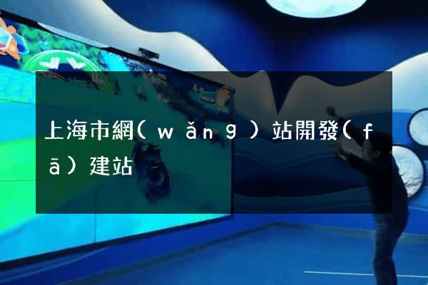 上海市網(wǎng)站開發(fā)建站