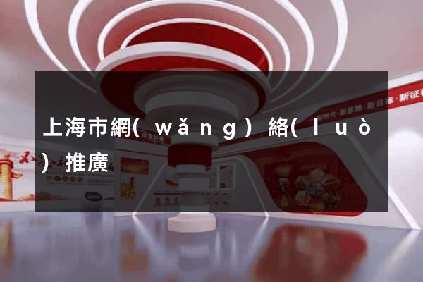 上海市網(wǎng)絡(luò)推廣
