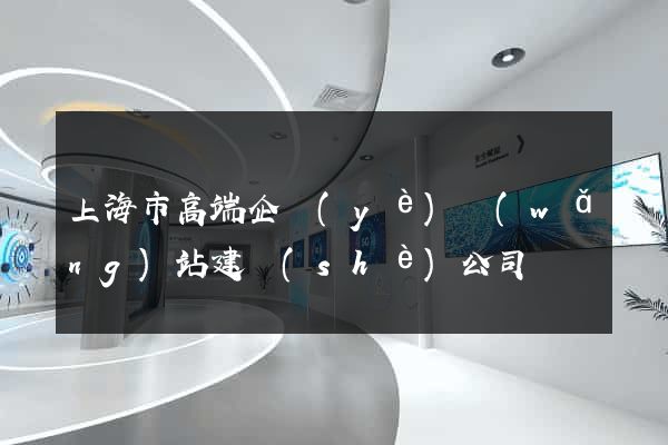 上海市高端企業(yè)網(wǎng)站建設(shè)公司