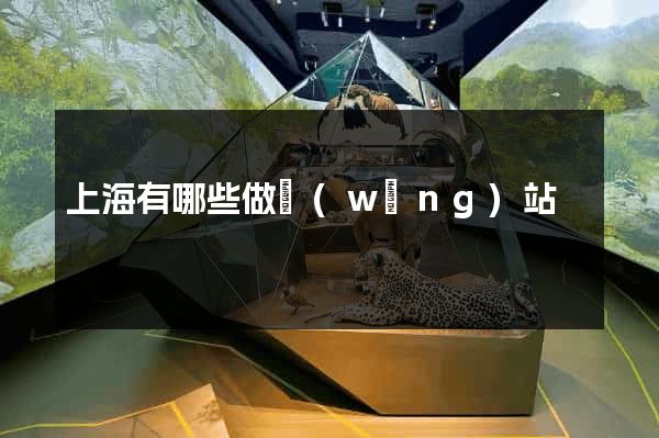 上海有哪些做網(wǎng)站