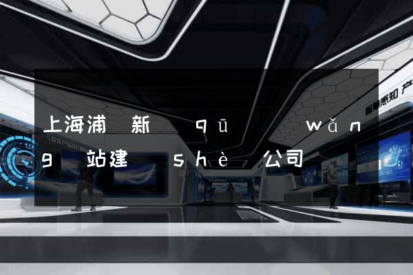上海浦東新區(qū)網(wǎng)站建設(shè)公司