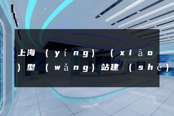 上海營(yíng)銷(xiāo)型網(wǎng)站建設(shè)