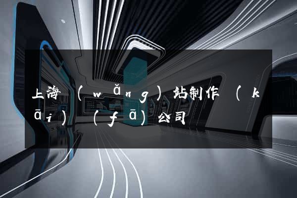 上海網(wǎng)站制作開(kāi)發(fā)公司