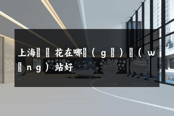 上海買鮮花在哪個(gè)網(wǎng)站好