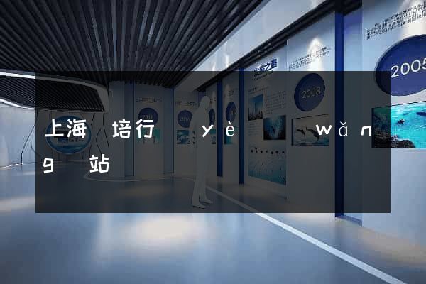 上海駕培行業(yè)網(wǎng)站