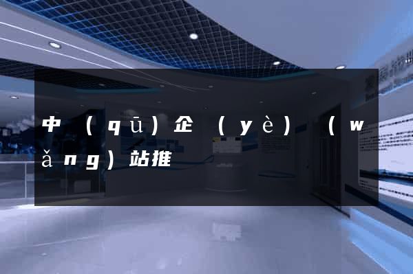 中區(qū)企業(yè)網(wǎng)站推廣