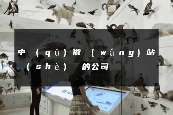 中區(qū)做網(wǎng)站設(shè)計的公司