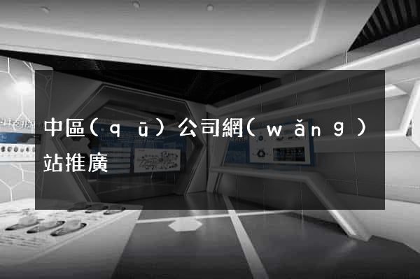 中區(qū)公司網(wǎng)站推廣