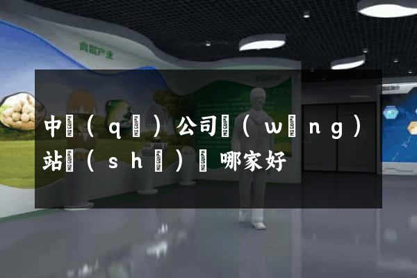 中區(qū)公司網(wǎng)站設(shè)計哪家好