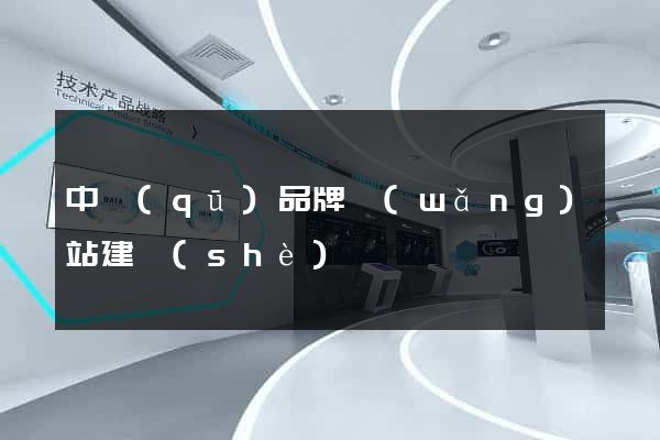 中區(qū)品牌網(wǎng)站建設(shè)