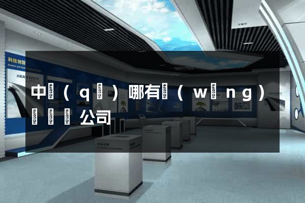 中區(qū)哪有網(wǎng)頁設計公司