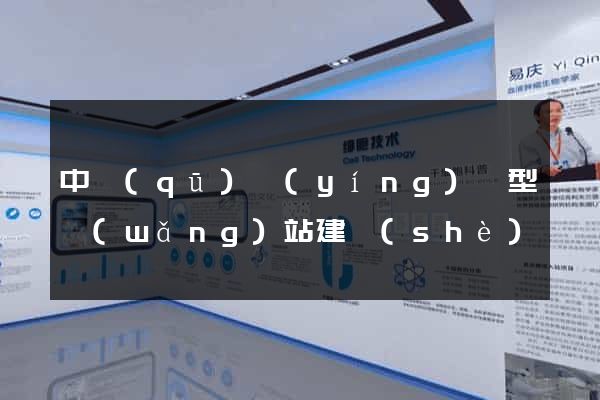 中區(qū)營(yíng)銷型網(wǎng)站建設(shè)