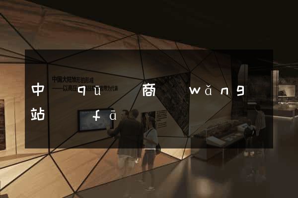 中區(qū)電商網(wǎng)站開發(fā)
