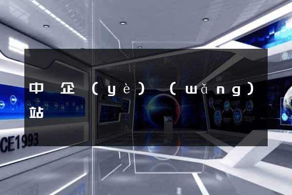 中國企業(yè)網(wǎng)站