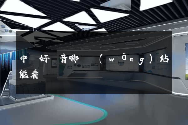 中國好聲音哪個網(wǎng)站能看