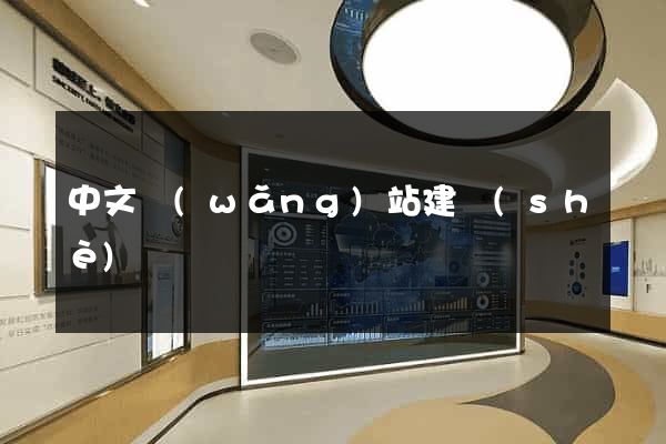 中文網(wǎng)站建設(shè)